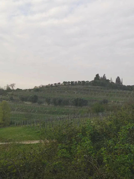 Producent in de kijker: Girlpower uit Veneto – Maeli