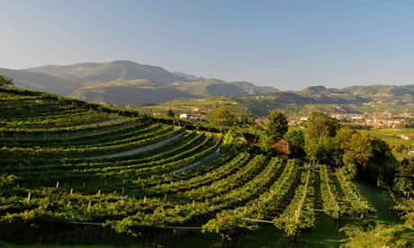 De stille revolutie van Valpolicella begint in Val Squaranto