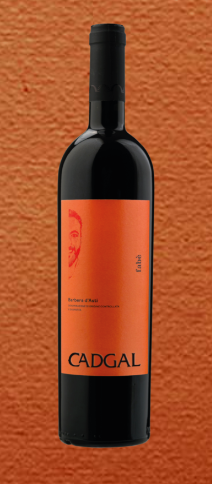 Barbera D'Asti Fabé