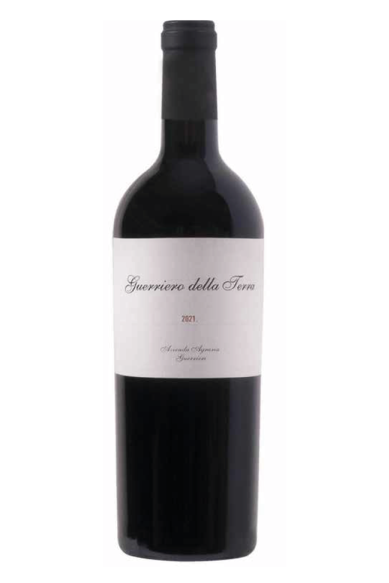 Guerriero della Terra