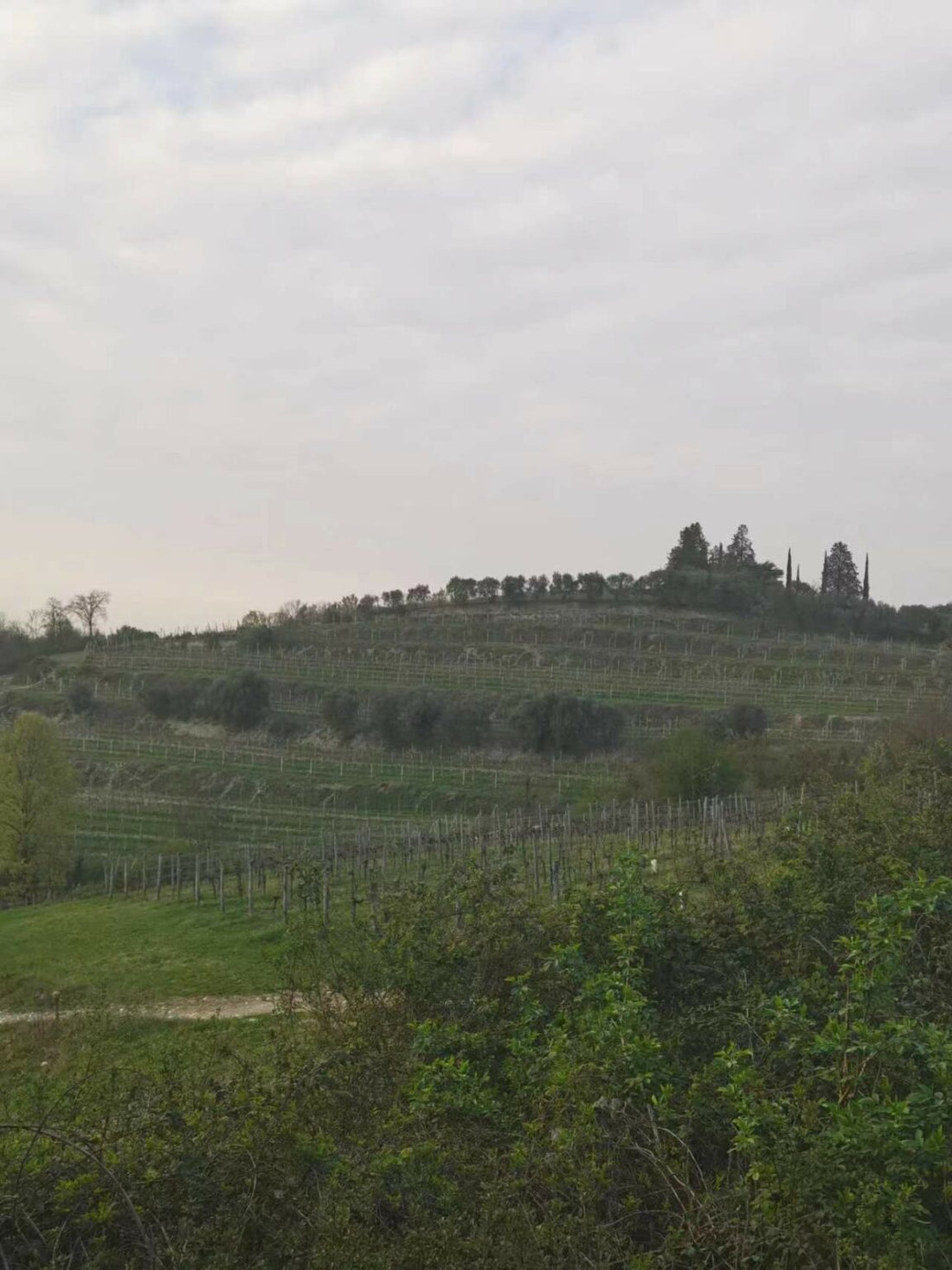 Producent in de kijker: Girlpower uit Veneto – Maeli