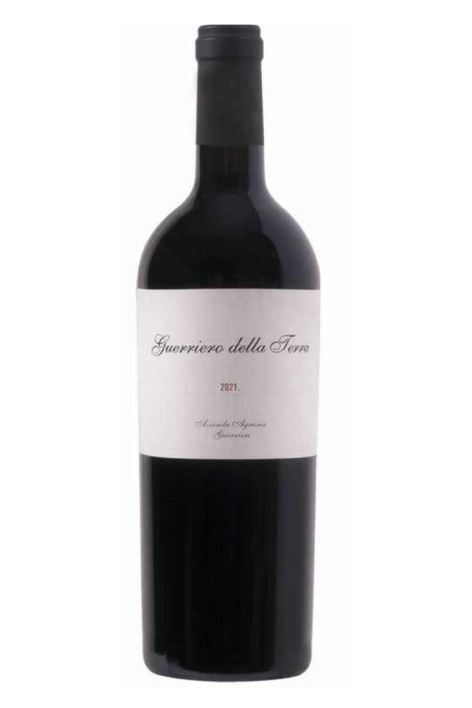 Guerriero della Terra
